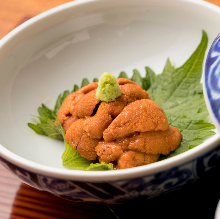 Raw sea urchin