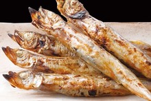 Seared shishamo smelt