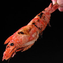 Salted and grilled prawn