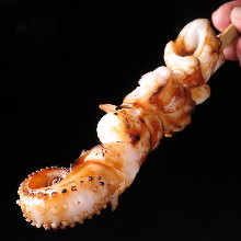 Squid tentacles grilled skewer