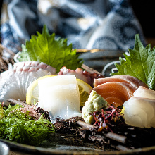 Assorted sashimi, 5 kinds