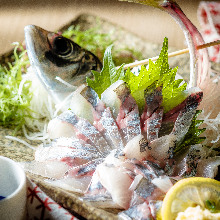 Live horse mackerel sashimi