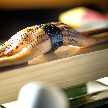 Nigirizushi topped with big-sized conger eel (anago)