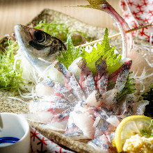 Live horse mackerel sashimi