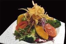 Fresh vegetable salad