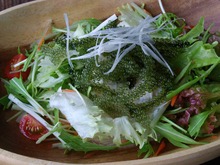 Seaweed salad