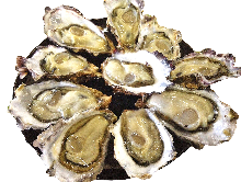 Raw oyster