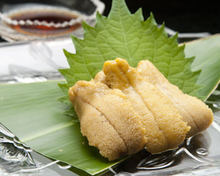 Raw sea urchin