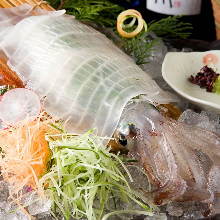 Live squid sugata-zukuri (sliced sashimi served maintaining the look of the whole squid)