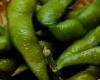 Edamame beans Edamame beans