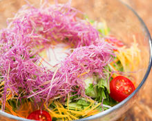 Other Japanese-style Salad