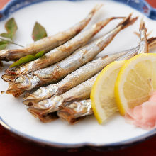 Seared shishamo smelt