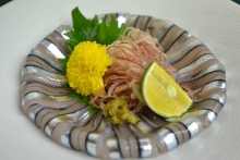 Sashimi