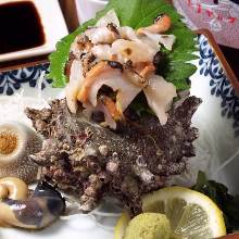 Horned turban sashimi