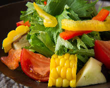 Organic vegetable salad