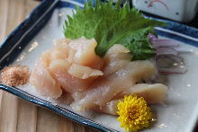 Sasami (chicken tenderloin)