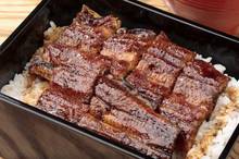 Eel served over rice in a lacquered box