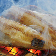 Grilled atka mackerel