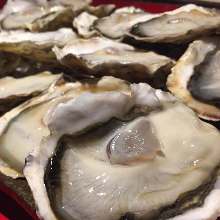 Oysters: raw or grilled