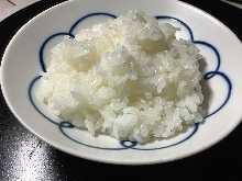 Rice