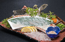 Live thread-sail filefish sashimi