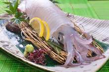 Live spear squid sashimi