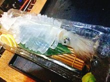 Live spear squid sashimi