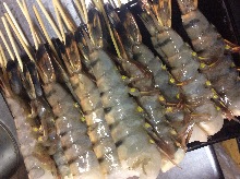 Salted and grilled shrimp