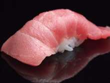 Chutoro (medium fatty tuna)