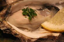 Raw oyster