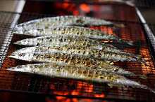 Salted and grilled saury