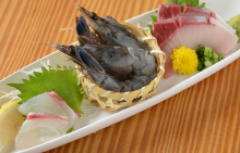 Assorted sashimi, 3 kinds
