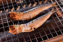 Dried whole sardine