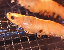 Grilled shrimp