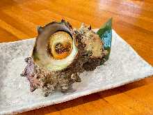 Grilled turban shell