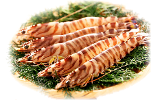 Salted and grilled Japanese tiger prawn