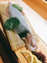 Squid sugata-zukuri (sliced sashimi served maintaining the look of the whole squid)