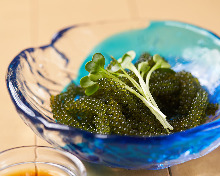 Sea grapes Sea grapes