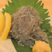 Raw whitebait