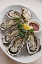 Oysters