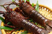 Grilled spiny lobster