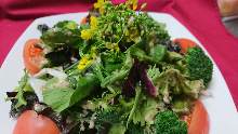 Seasonal vegetable salad