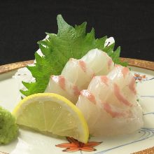 Seabream sashimi