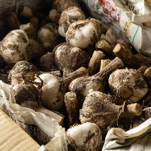 Add-on vegetable set (Aomori garlic, chives, cabbage, Aso tofu, soup)
