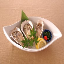 Oysters