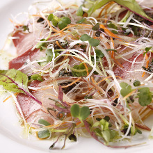 Carpaccio (fish)