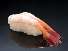 Ama ebi (pink shrimp)