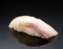 Kanpachi(amberjack)