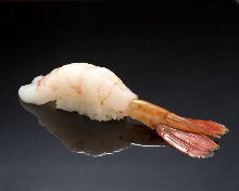 Botan shrimp