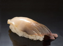 Sakhalin surf clam